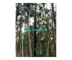 3.50 Acres Agriculture property for sale Karithadakka