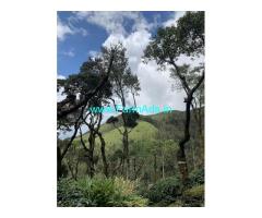 4 acres coffee estate for Sale near Chikmagalur