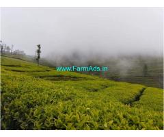 60 cent Tea estate for sale Ooty to Kotagiri main road