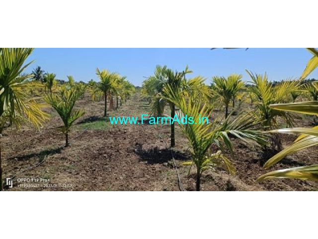 4.32 Acres Areca semi plantation for sale Near Sira town 4.32 Acres Areca semi plantation for sale Near Sira town