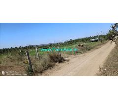4.32 Acres Areca semi plantation for sale Near Sira town 4.32 Acres Areca semi plantation for sale Near Sira town