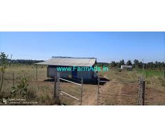 4.32 Acres Areca semi plantation for sale Near Sira town 4.32 Acres Areca semi plantation for sale Near Sira town