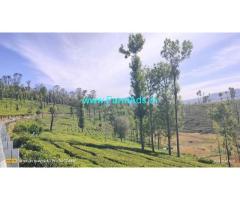 21 Cents Land for Sale near Kotagiri