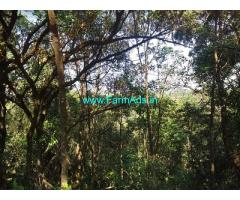 5 acre plain land sale in Mudigere