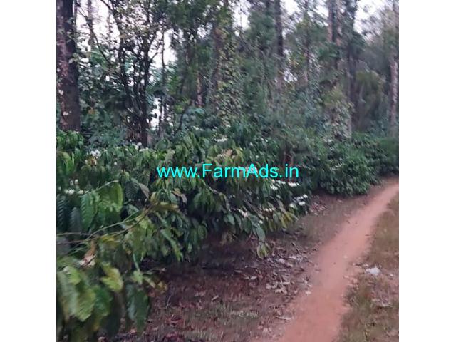23 acre coffee estate for sale in Sakleshpur 23 acre coffee estate for sale in Sakleshpur