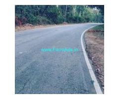 23 acre coffee estate for sale in Sakleshpur 23 acre coffee estate for sale in Sakleshpur