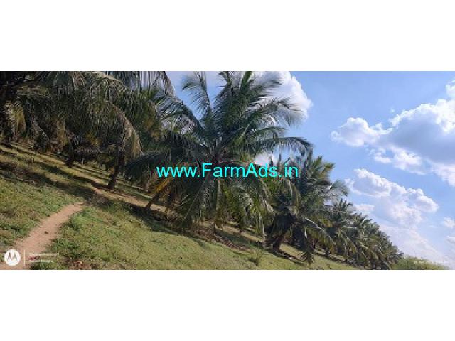 8.14 Acres young coconut Plantation for sale between Sira And Hiriyur 8.14 Acres young coconut Plantation for sale between Sira And Hiriyur