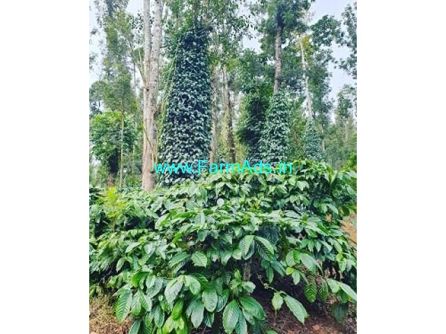 50 acre coffee plantation for sale in Mudigere 50 acre coffee plantation for sale in Mudigere