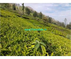 70 cent tea estate for sale at Kotagiri