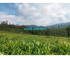 70 cent tea estate for sale at Kotagiri