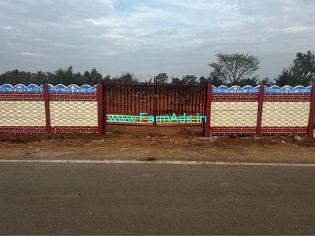 2 Acre Coconut Farm for Sale near Mysore 2 Acre Coconut Farm for Sale near Mysore