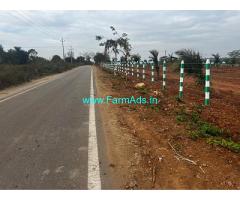 2 Acre Coconut Farm for Sale near Mysore 2 Acre Coconut Farm for Sale near Mysore