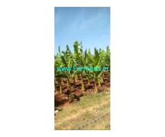 2.20 Acres Agriculture land for sell near Nanjangud 2.20 Acres Agriculture land for sell near Nanjangud