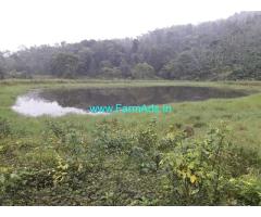 100 acre coffee estate for sale in Chikmagalur Balehonnur area
