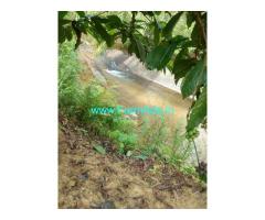 8 acres of coffee estate for sale near Jayapura