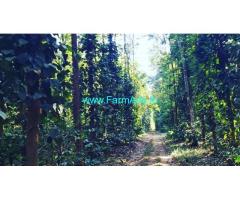12 acre well maintained coffee with pepper plantation for sale in Belur