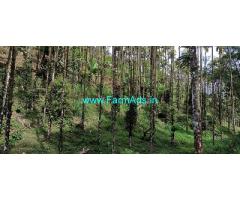 4 Acres Farm Land for Sale at Attappadi