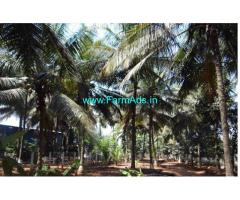 40 Cents Coconut Farm House for sale near Ettimadai