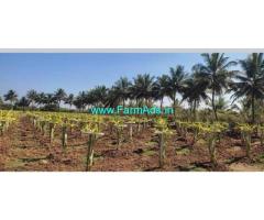 4 acre 20 gunta Farm land for Sale near Hiriyur