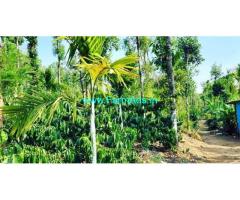 4.5 acre coffee estate for sale in Kodlipete