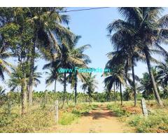 3 acres 20 Guntas Farm Land for Sale in Doddaballapur 3 acres 20 Guntas Farm Land for Sale in Doddaballapur