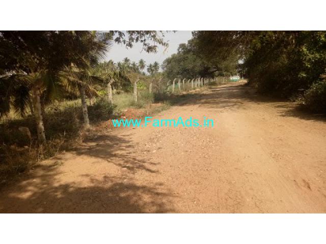 7 Acres coconut farm with plain land Sale near Ooty road 7 Acres coconut farm with plain land Sale near Ooty road