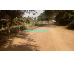 7 Acres coconut farm with plain land Sale near Ooty road