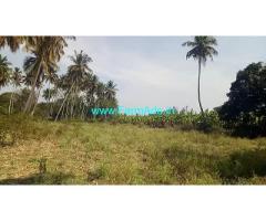 7 Acres coconut farm with plain land Sale near Ooty road 7 Acres coconut farm with plain land Sale near Ooty road