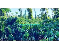 28 acre well maintained coffee plantation for sale in Sakleshpur