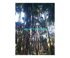 3.50 acres Farm Land for Sale near Dharmastala 3.50 acres Farm Land for Sale near Dharmastala