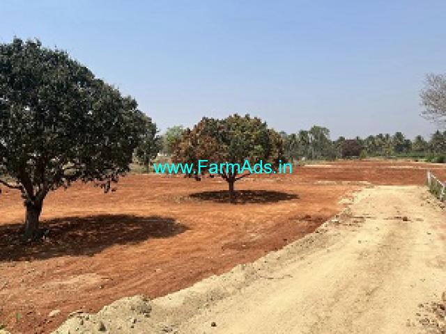 3 Acres 16 guntas fully developed agriculture land Sale near Maralawadi 3 Acres 16 guntas fully developed agriculture land Sale near Maralawadi
