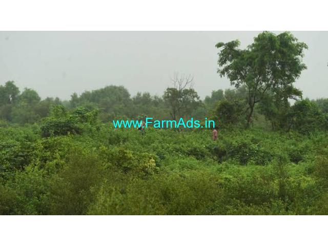 20 gunta land for sale in Chikmagalur 20 gunta land for sale in Chikmagalur