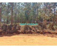 Agriculture Land for sale near Tumkur 2 acres 10 guntas