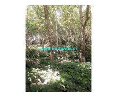 5.50 acres agriculture property for sale near Venoor 5.50 acres agriculture property for sale near Venoor