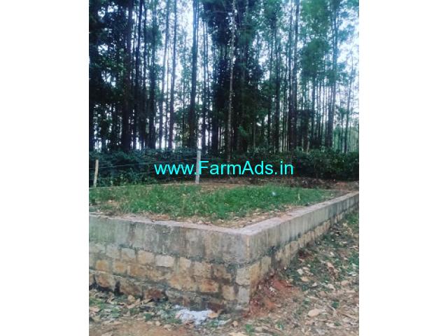 10 Gunta land for sale in Chikmagalur 10 Gunta land for sale in Chikmagalur