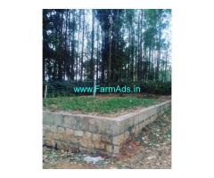10 Gunta land for sale in Chikmagalur