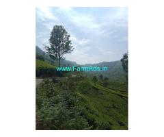 1 Acre Extent Tea Garden For Sale 9 Km Away From Coonoor Town