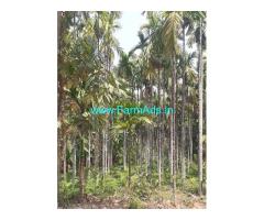 6 Acres Agriculture land sale Surya temple near Ujire
