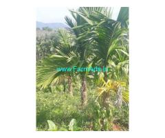 11 acres Agriculture land sale Periyadakka
