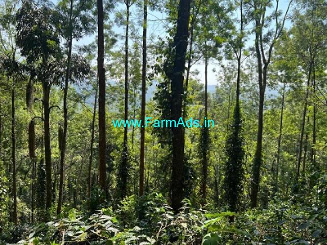 15 acre plantation for sale near Mallandur 15 acre plantation for sale near Mallandur