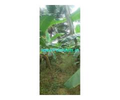 2 Acres agriculture land for Sale near Mysore 2 Acres agriculture land for Sale near Mysore