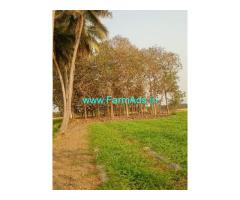 2.36 Acres Punjai land Sale 99 km from Chennai