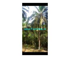3.84 acre agricultural land with new house for sale at Kodyadka