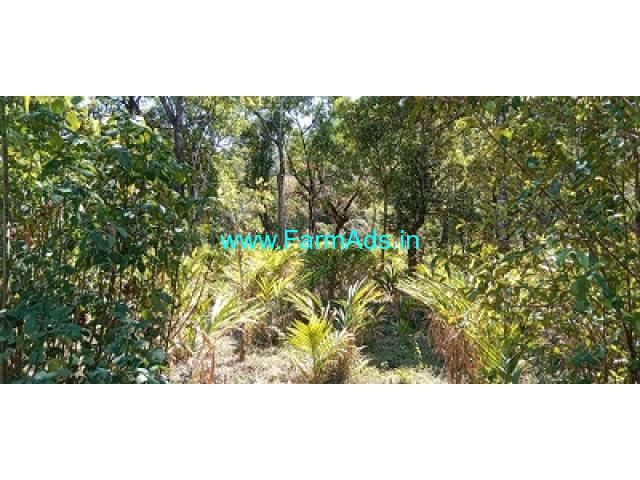 6 acre agricultural land for sale in Mudigere 6 acre agricultural land for sale in Mudigere