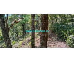 6 acre agricultural land for sale in Mudigere 6 acre agricultural land for sale in Mudigere