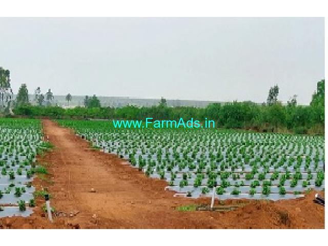 3 Acre's Agriculture land For Sale near Chikkaballapur 3 Acre's Agriculture land For Sale near Chikkaballapur
