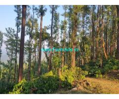 350 acre coffee estate for sale in Chikmagalur