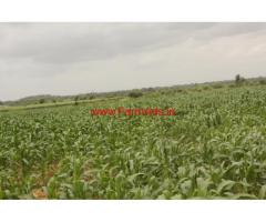 58 Acres Agricultural Farm Land for sale 75 KMS from Hyderbad