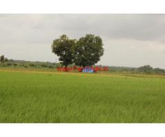 58 Acres Agricultural Farm Land for sale 75 KMS from Hyderbad