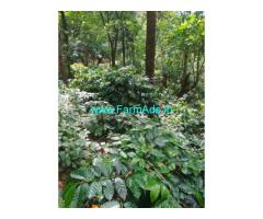 Agriculture coffee estate 400acre